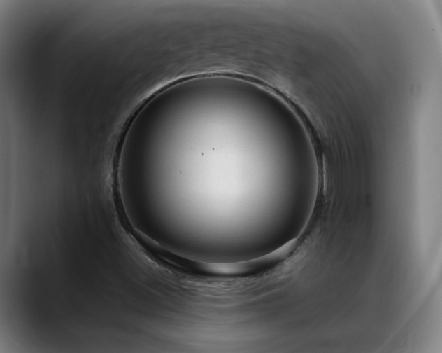 X0000089381500200706151154