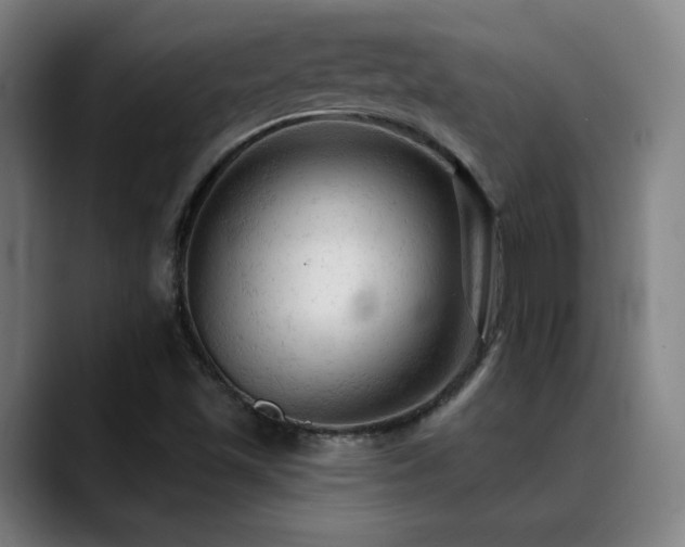 X0000089381501200706151154