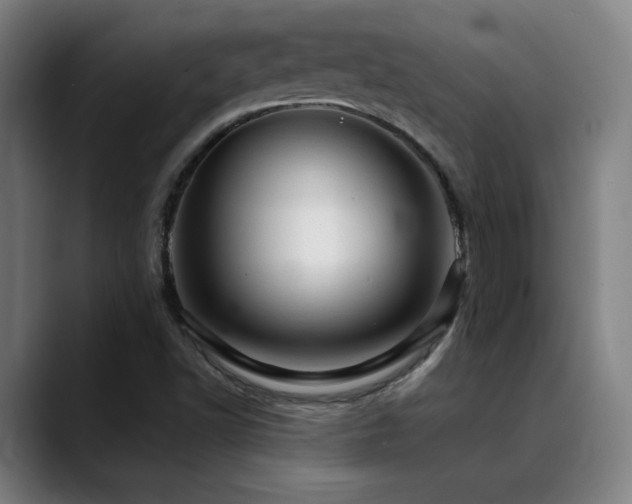X0000089381502200706151154