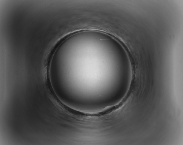 X0000089381503200706151154