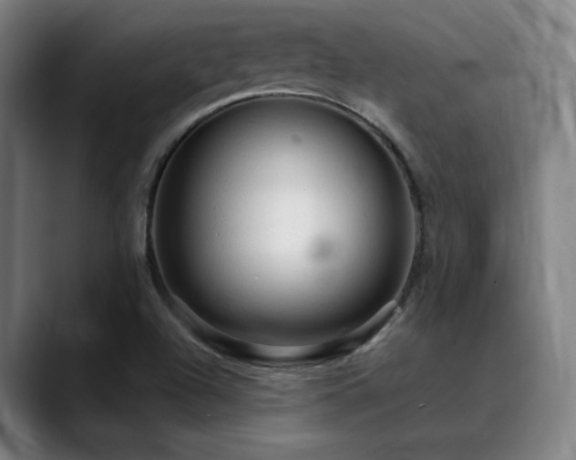 X0000089381504200706151154