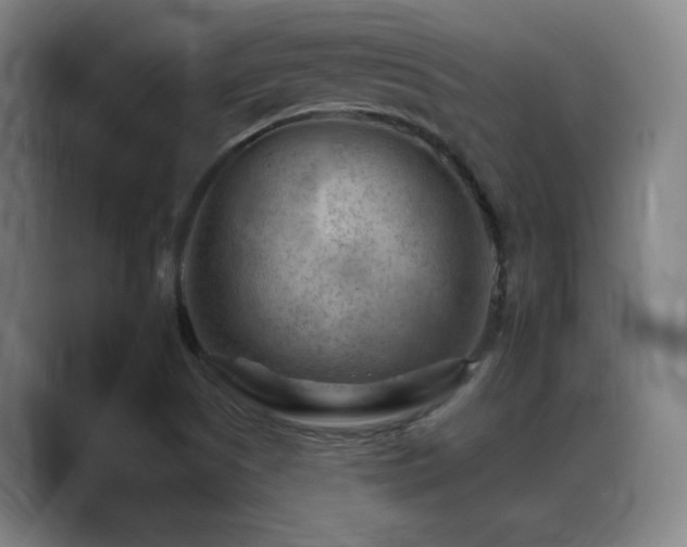 X0000089381505200706151154