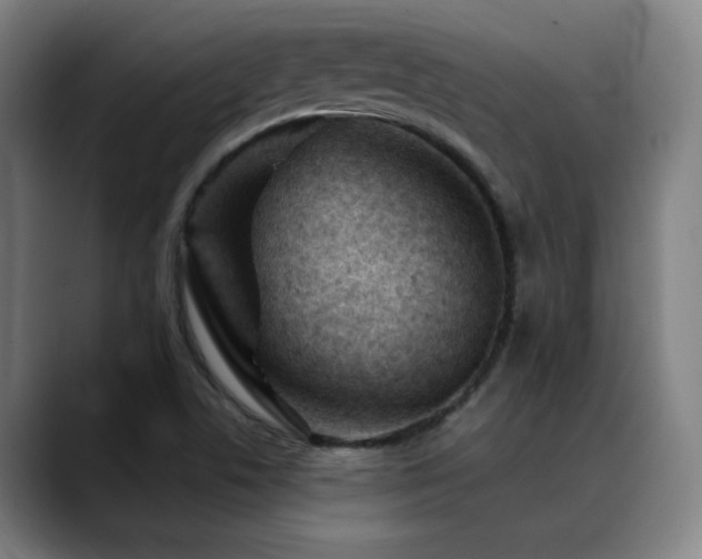 X0000089381506200706151154
