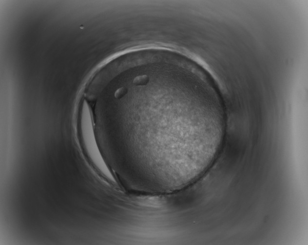 X0000089381508200706151154