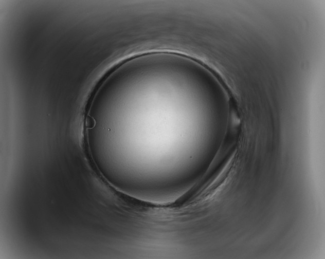 X0000089381511200706151154