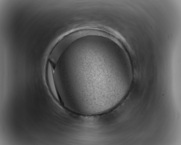 X0000089381512200706151154