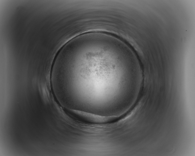 X0000089381513200706151154