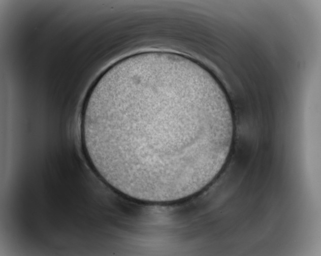X0000089381514200706151154