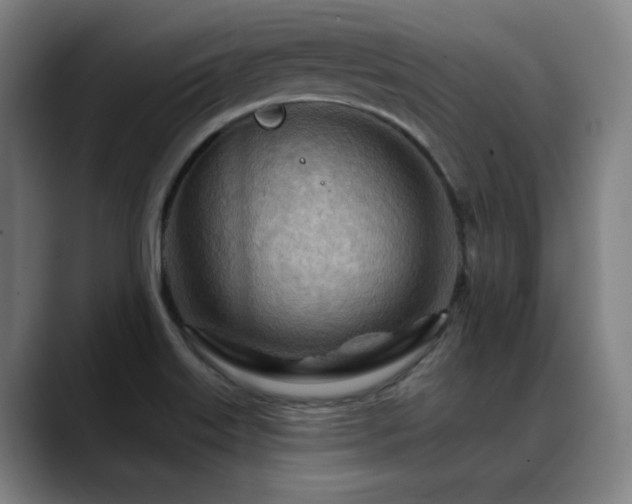 X0000089381515200706151154