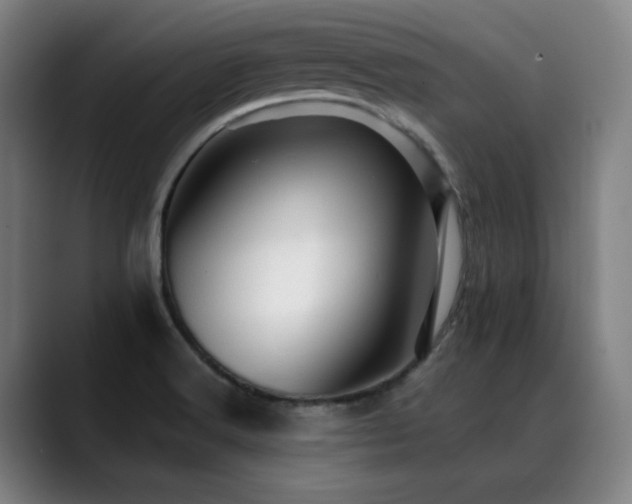 X0000089381516200706151154