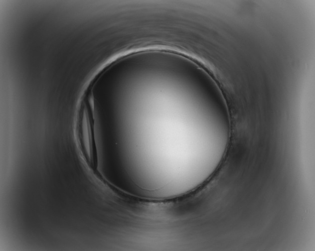 X0000089381518200706151154