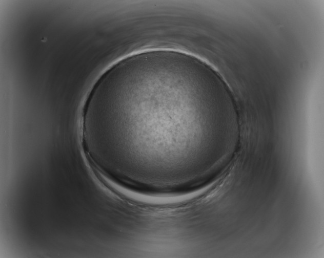 X0000089381519200706151154
