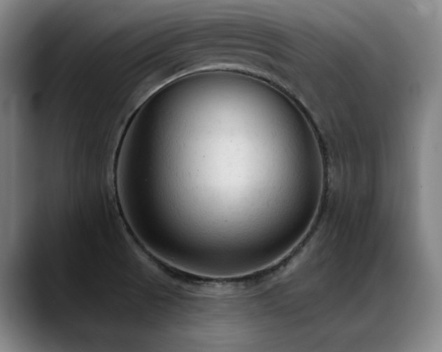 X0000089381521200706151154