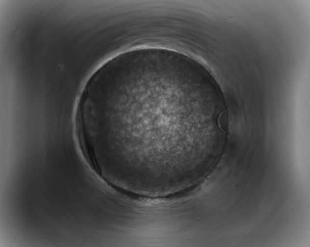 X0000089381522200706151154