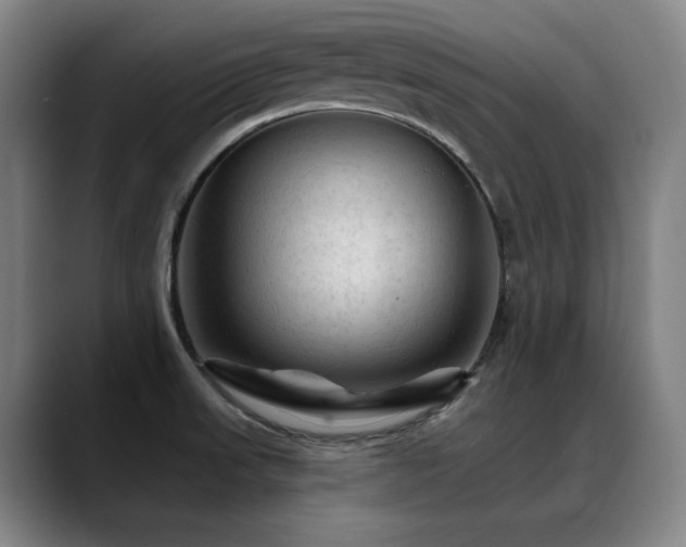 X0000089381523200706151154