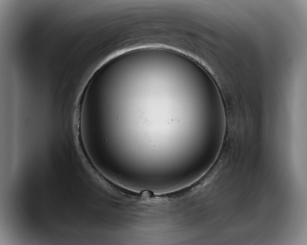 X0000089381526200706151155