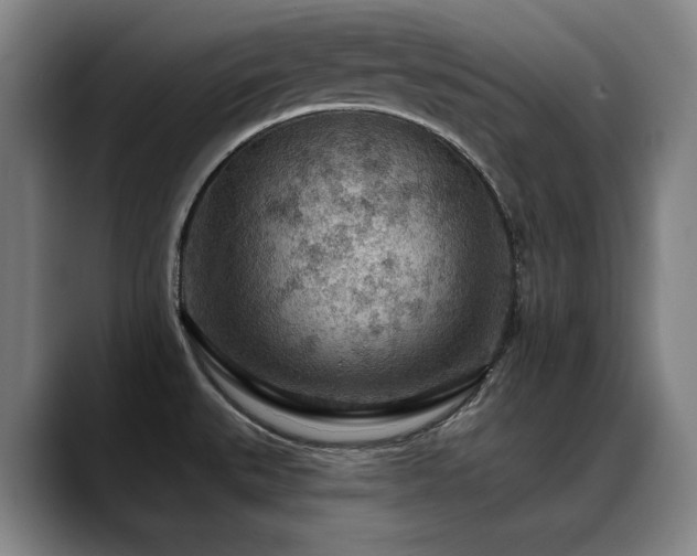 X0000089381527200706151155