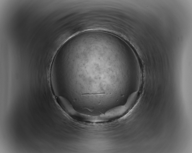X0000089381529200706151155