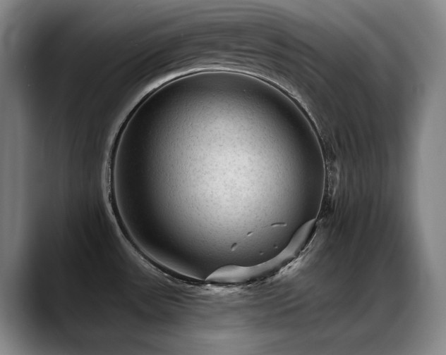 X0000089381531200706151155