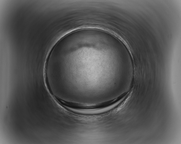X0000089381533200706151155