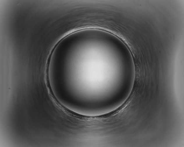 X0000089381534200706151155