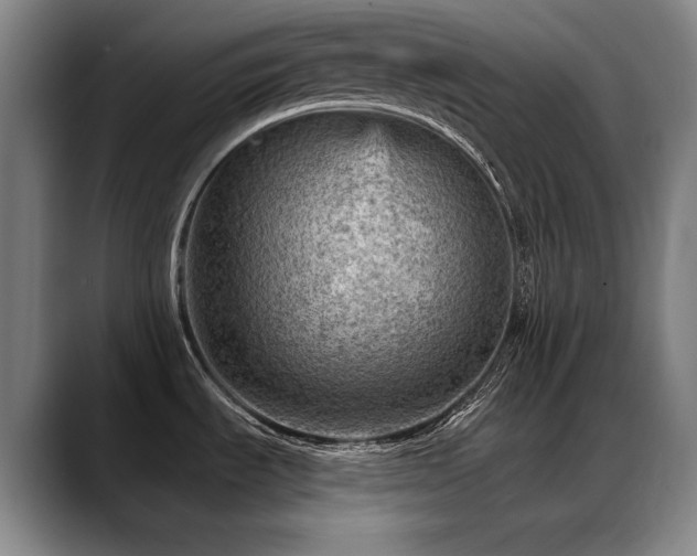 X0000089381535200706151155