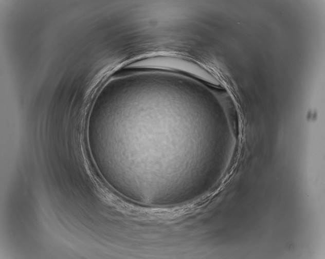 X0000089380001200706221305