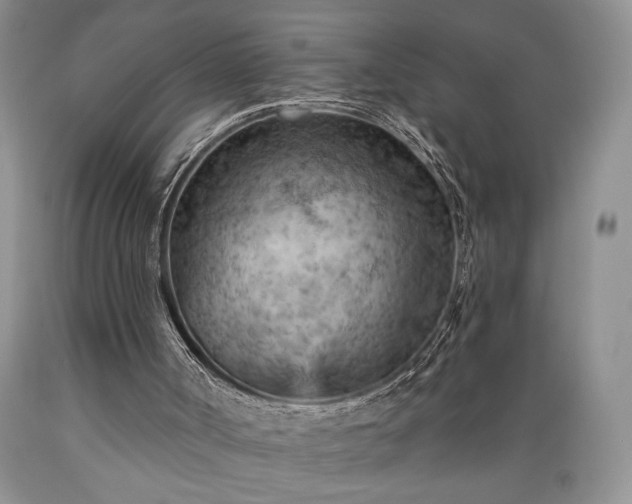 X0000089380002200706221305