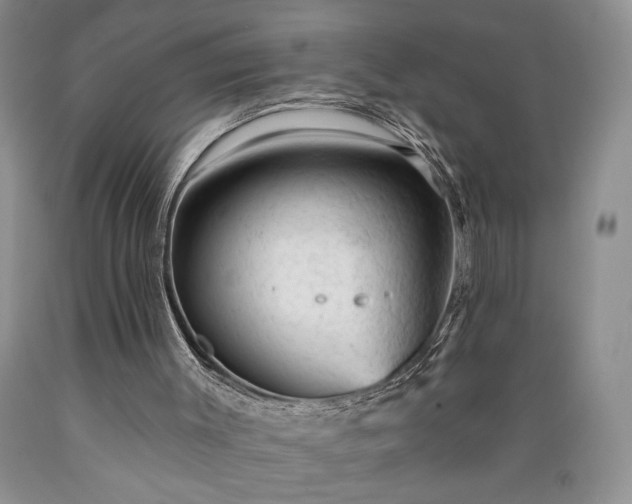 X0000089380003200706221305