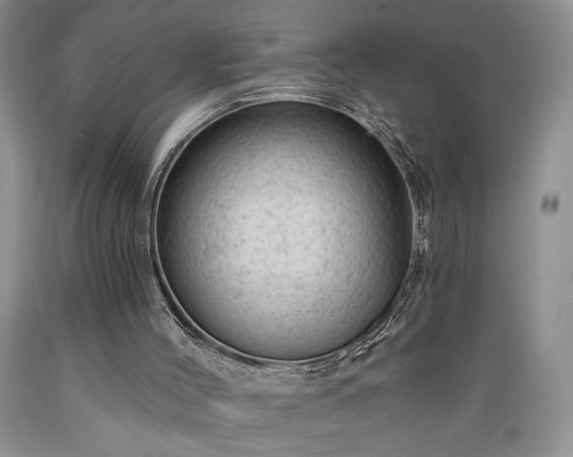 X0000089380004200706221305
