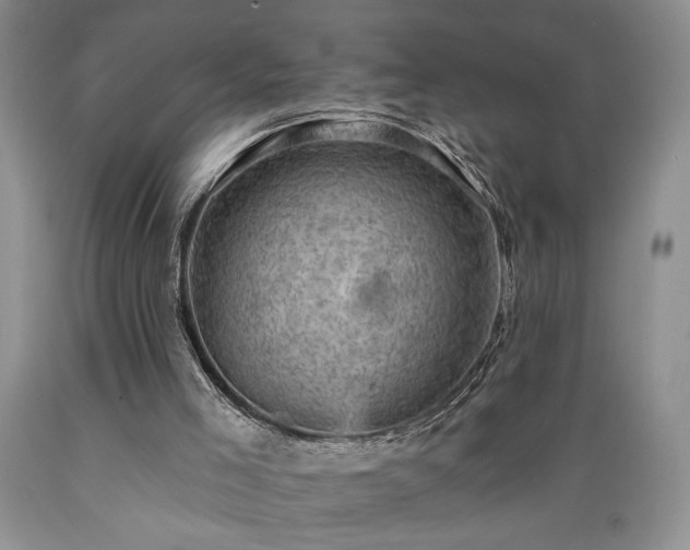 X0000089380005200706221305