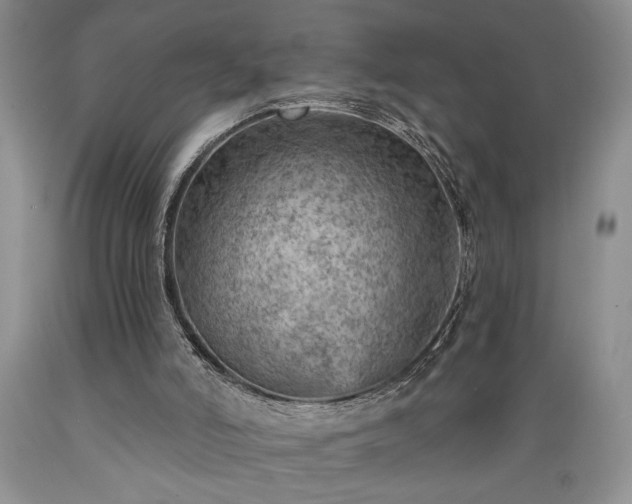 X0000089380006200706221305