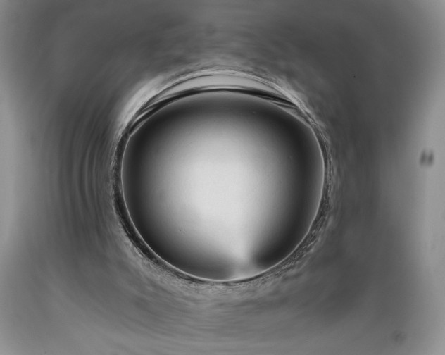 X0000089380007200706221305