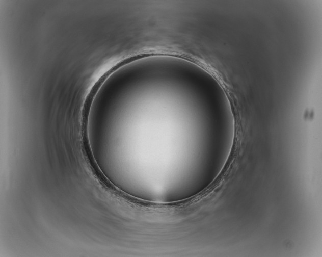X0000089380008200706221305