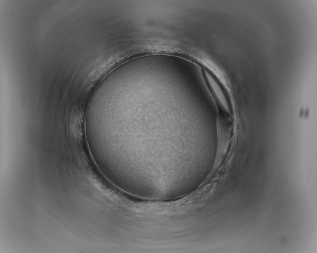 X0000089380009200706221305