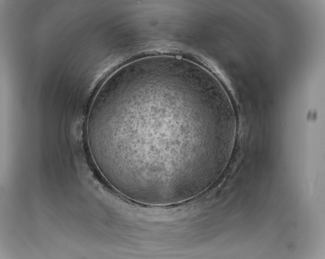 X0000089380010200706221305