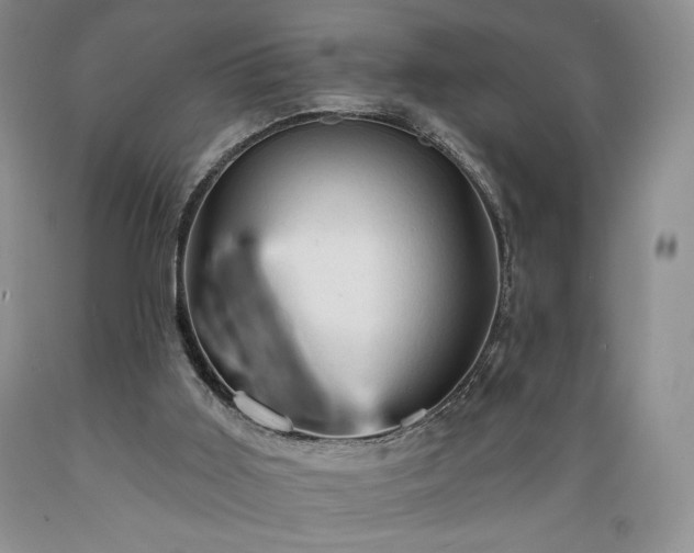 X0000089380011200706221305
