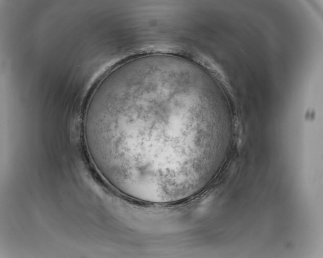 X0000089380012200706221305