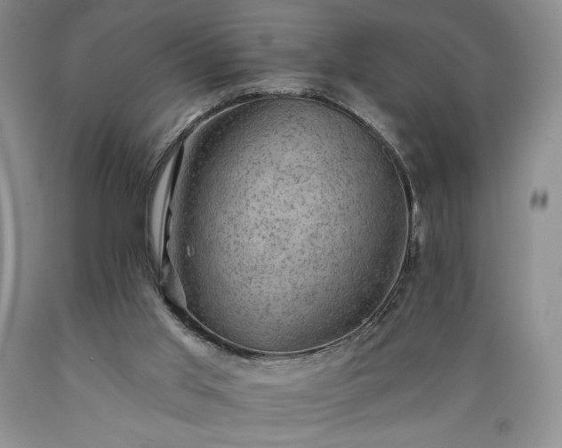 X0000089380013200706221305