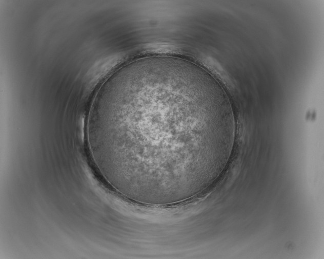 X0000089380014200706221305