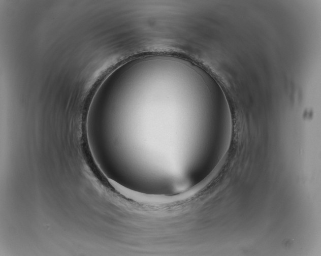X0000089380015200706221305