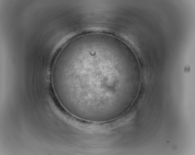 X0000089380016200706221305