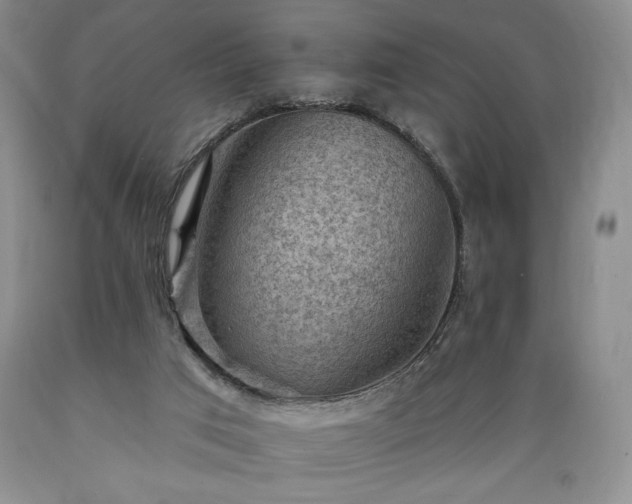 X0000089380017200706221305