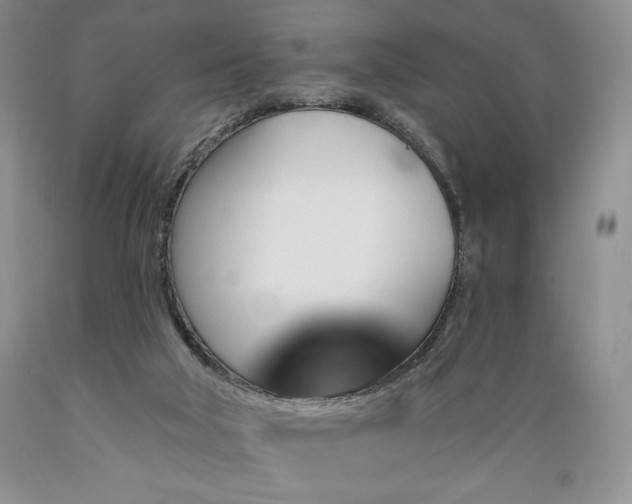 X0000089380018200706221305