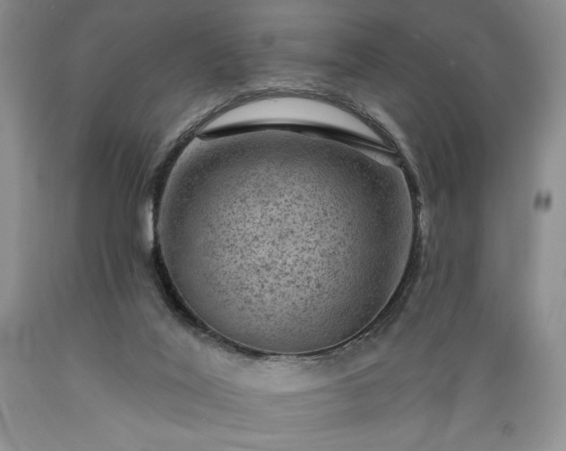 X0000089380020200706221305