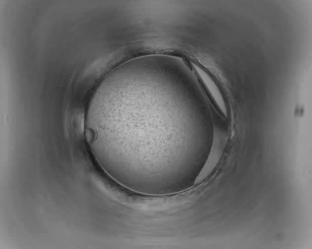 X0000089380021200706221305