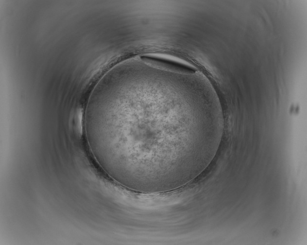 X0000089380022200706221305