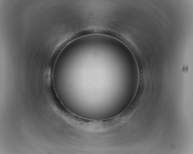 X0000089380024200706221305