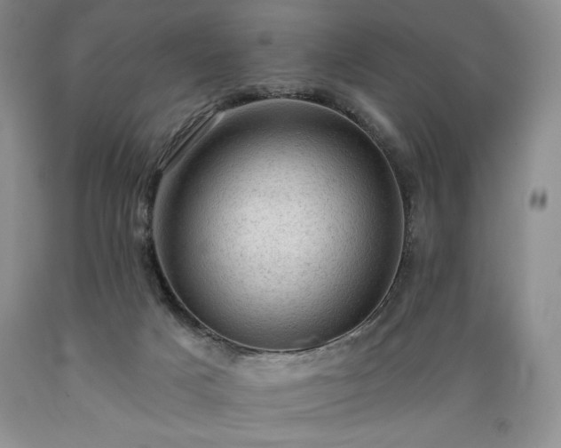 X0000089380025200706221305