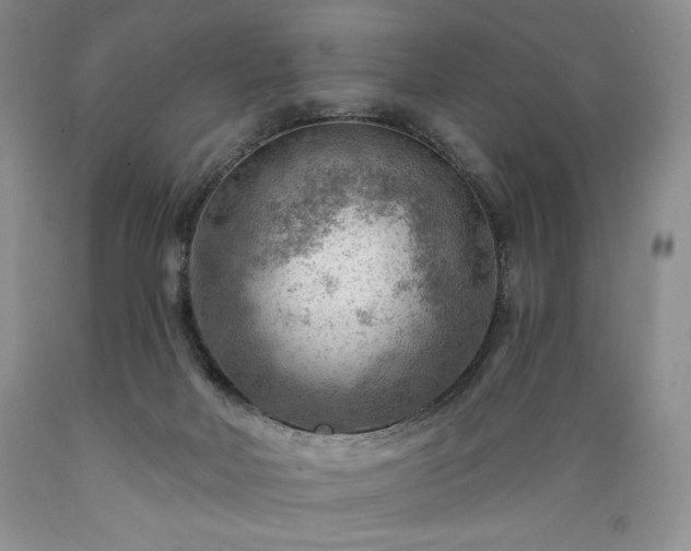 X0000089380026200706221305